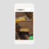 Websites Development